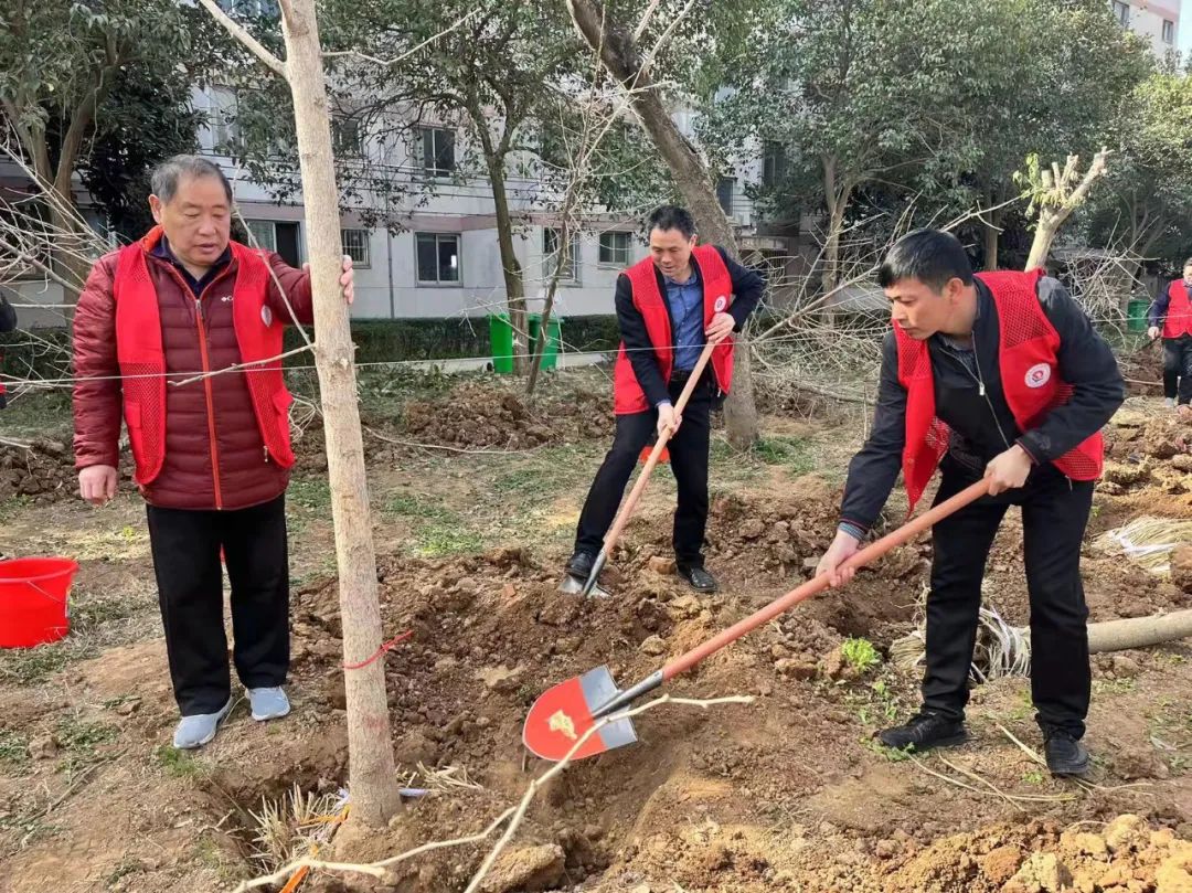 植树增绿履义务 志愿服务显初心