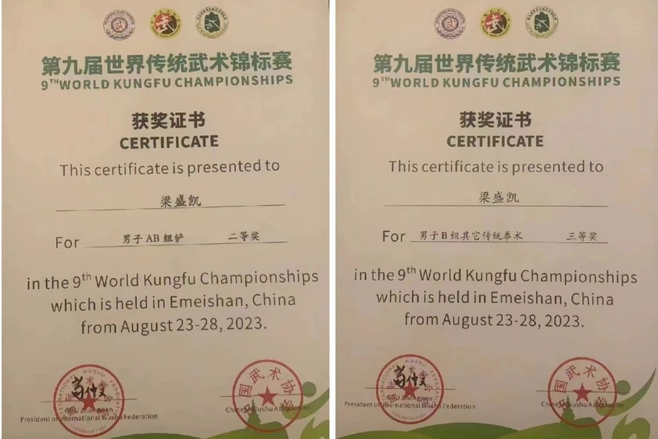 热烈祝贺我校学生在“第九届世界传统武术锦标赛”中荣获佳绩